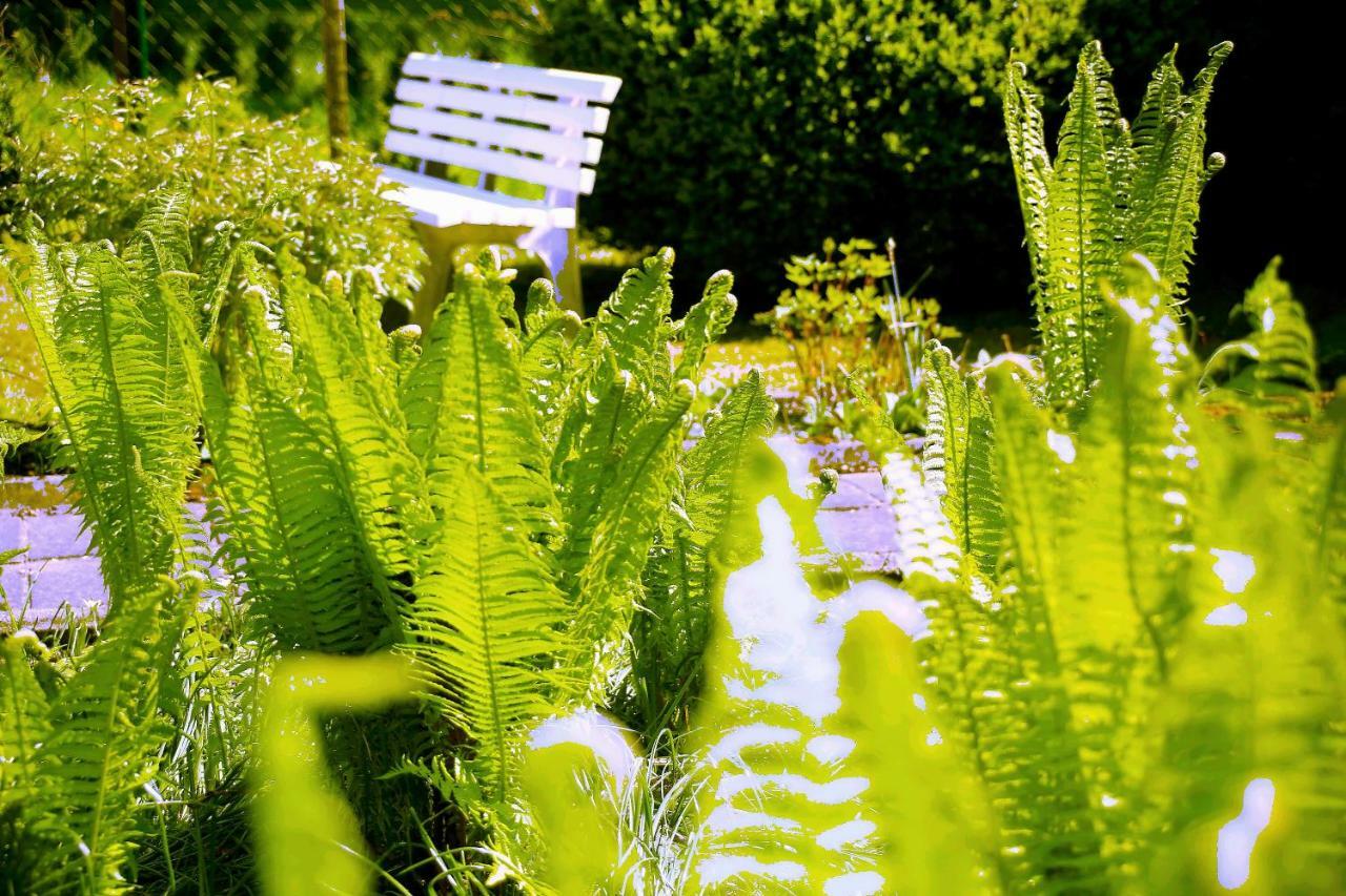 Mitten Im Seenland Und Spreewaldnah, Schoener Garten Storkow (Mark) Exterior foto