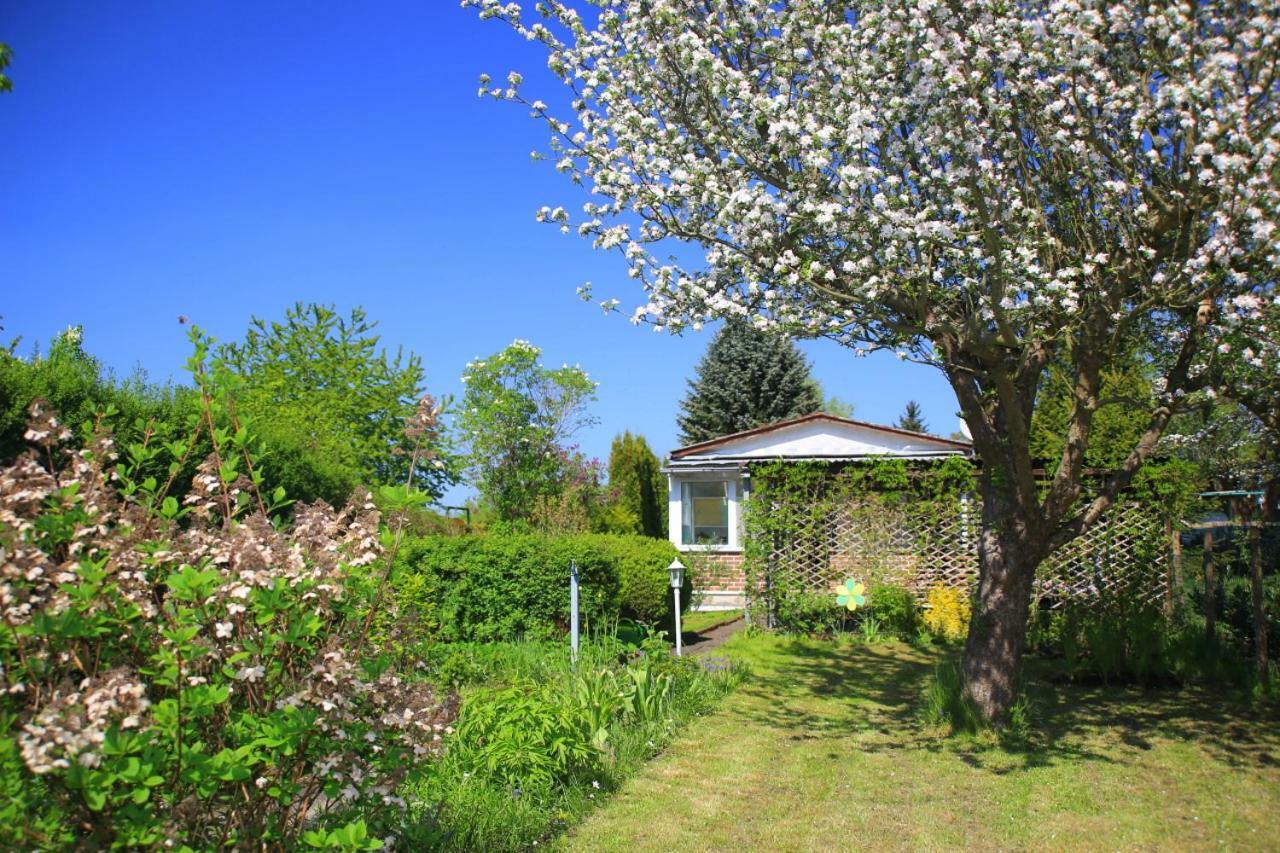 Mitten Im Seenland Und Spreewaldnah, Schoener Garten Storkow (Mark) Exterior foto